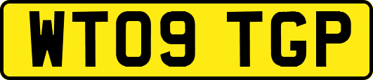 WT09TGP