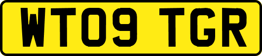 WT09TGR