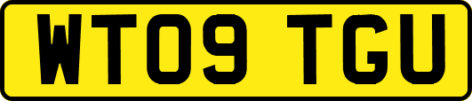 WT09TGU