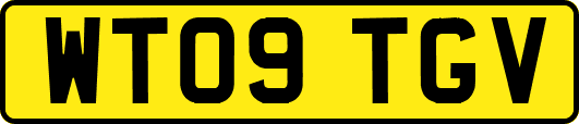 WT09TGV
