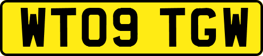 WT09TGW