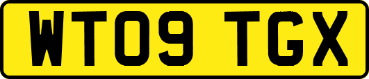 WT09TGX