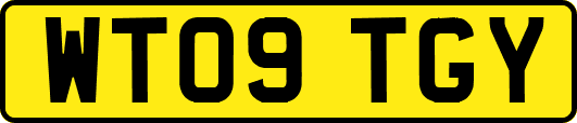 WT09TGY