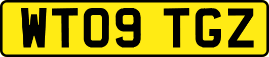 WT09TGZ
