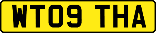 WT09THA