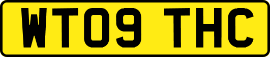 WT09THC