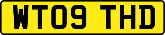 WT09THD