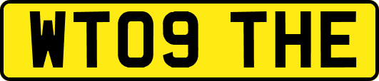 WT09THE