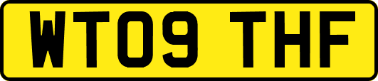 WT09THF