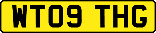 WT09THG