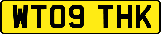 WT09THK