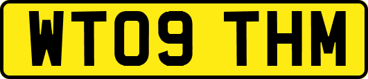 WT09THM
