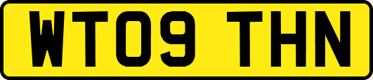 WT09THN