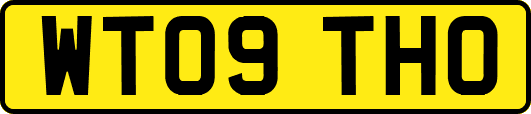 WT09THO