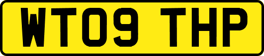 WT09THP