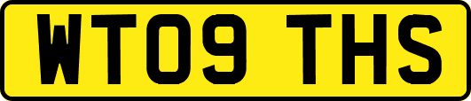 WT09THS
