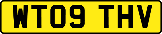 WT09THV