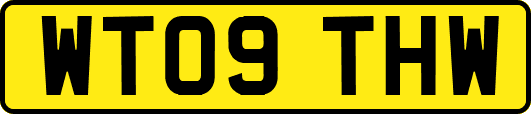 WT09THW
