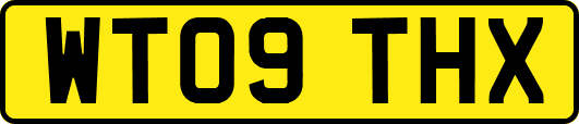 WT09THX
