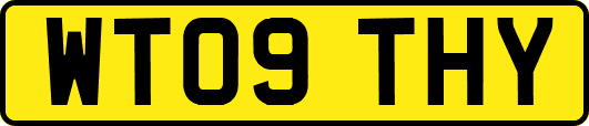WT09THY