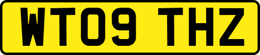 WT09THZ