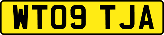 WT09TJA