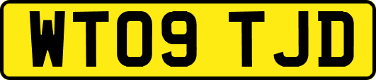 WT09TJD