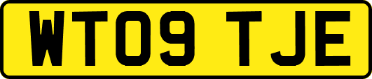 WT09TJE