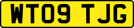 WT09TJG