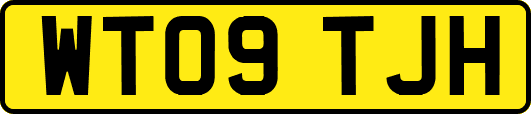 WT09TJH