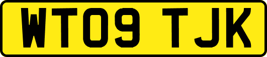 WT09TJK