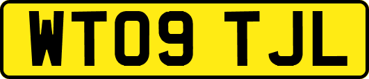 WT09TJL