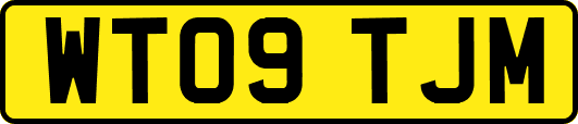WT09TJM