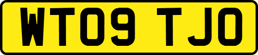 WT09TJO