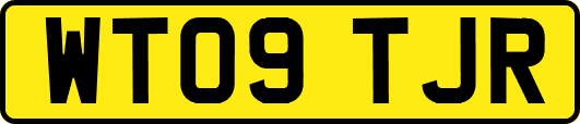 WT09TJR