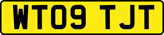 WT09TJT