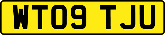 WT09TJU