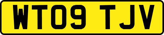 WT09TJV