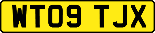 WT09TJX