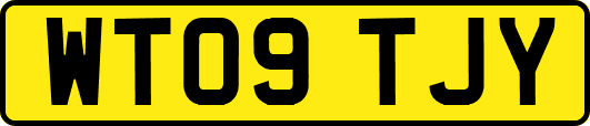 WT09TJY