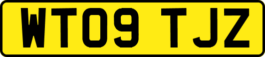 WT09TJZ