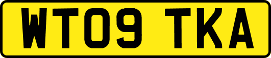 WT09TKA