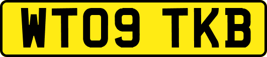 WT09TKB