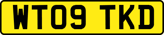 WT09TKD