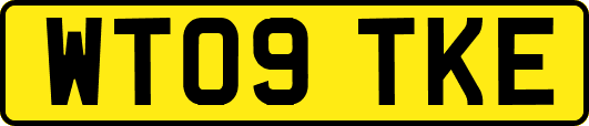 WT09TKE