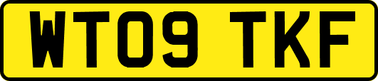 WT09TKF