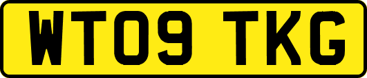 WT09TKG