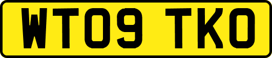 WT09TKO