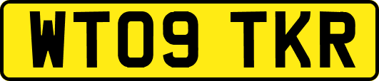 WT09TKR