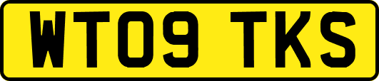 WT09TKS